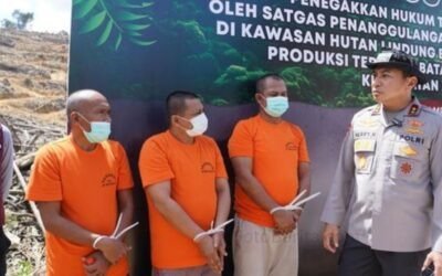Kemenhut Tetapkan PT GTP Tersangka Perambahan Hutan Lindung di Batam