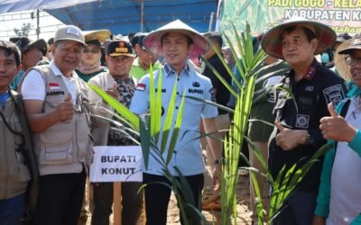 Mentrans Dorong Komoditas Unggulan Perkuat Swasembada Pangan dan Ekonomi Desa